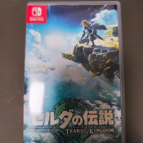 ゼルダの伝説 ティアーズ オブ ザ キングダム Switch