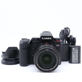 Panasonic パナソニック LUMIX DC-G9M2L DG VARIO-ELMARIT 12-60mm レンズキット