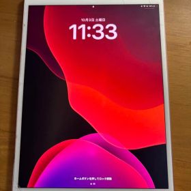 きりとんかつ様専用 Apple iPad pro 10.5インチ 本体