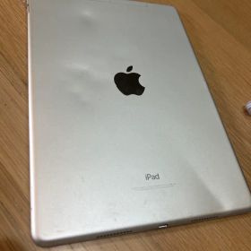 Apple iPad Pro 10.5インチ 256GB 本体