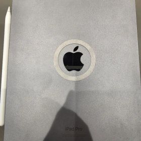 Apple iPad Pro11 M2 256GB