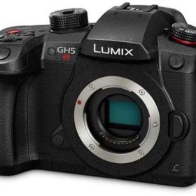 【中古】パナソニック ミラーレスマイクロフォーサーズデジタルカメラ Lumix DC-GH5S (国際版) なし